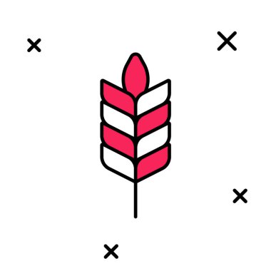 Pirinç, buğday, mısır, yulaf, çavdar ve beyaz arka planda izole edilmiş arpa ikonu ile kaplanmış mısır gevrekleri. Buğday ekmeği sembolleri. Vektör