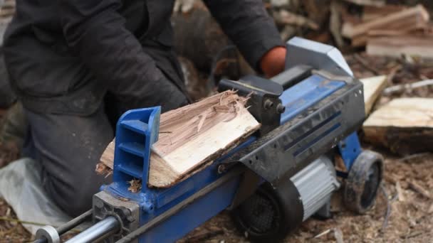 Hydraulischer Holzspalter Spaltet Wermut Brennholzproduktion Vorbereitung Auf Den Winter — Stockvideo