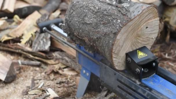 Hydraulic Wood Splitter Splits Wormwood Firewood Production Preparation Winter — Stock Video