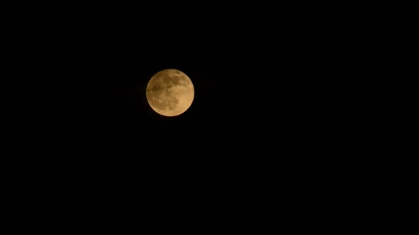 Vollmond Schwarzen Himmel Der Nachthimmel Hintergrund Gelber Mond — Stockvideo
