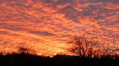 Nefes kesen bir günbatımı gökyüzünü kırmızı ve turuncunun canlı tonlarıyla boyar, ön planda siluetli ağaçlarla dramatik bir sahne yaratır..