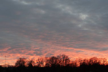 Alacakaranlık, karanlık bulutların arasından ağaçların siluetinin üzerinden süzülen soluk kırmızı bir parıltı. Yumuşak ışık ve doğal güzellikle sakin bir akşam sahnesi.