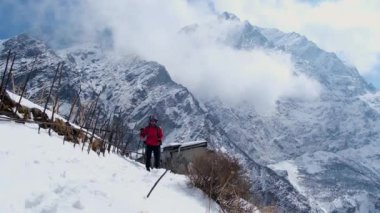 Nepal 'deki yürüyüş direklerini kullanarak Annapurna pistinde kar yürüyüşü yapan bir adam..