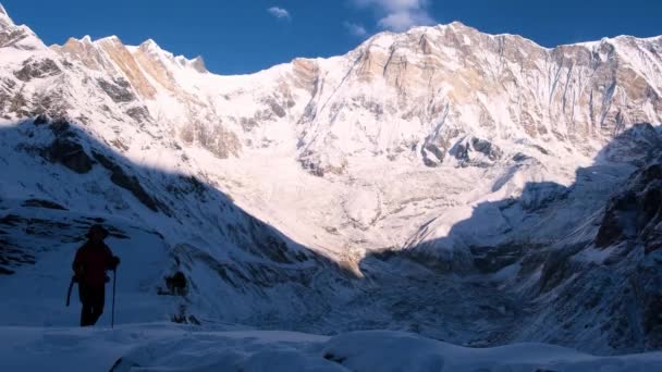 Man Hiking Snow Annapurna Circuit Using Trekking Poles Nepal — Stock Video