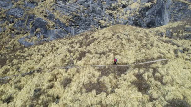 Homem Caminhando Através Neve Circuito Annapurna Usando Postes Trekking Nepal — Vídeo de Stock