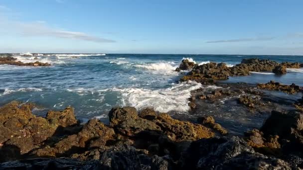 Ondas Rolando Batendo Contra Rochas Largo Costa Havaí Dia Ensolarado — Vídeo de Stock