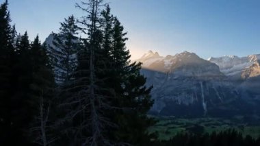 Gün batımında Grindelwald yakınlarındaki İsviçre Alpleri 'nden ağaçların yanından geçen tramvaydan görüntü.