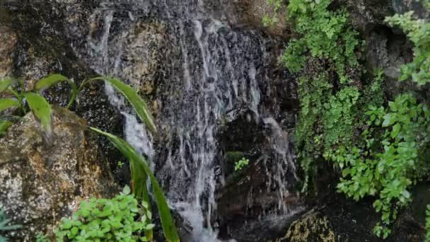 法国伊泽的瀑布瀑布瀑布流过绿叶 — 图库视频影像