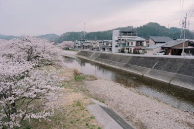 Bahar mevsimi boyunca Takayama manzarası