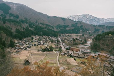 Bahar mevsiminde Shirakawago köyü geçmişi olan Sakura Kiraz çiçeği dalı