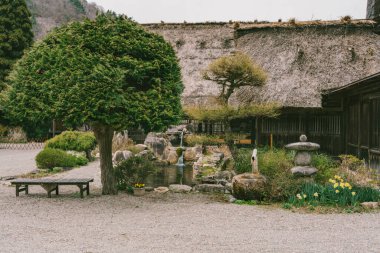 Bahar mevsiminde Shirakawago köyü geçmişi olan Sakura Kiraz çiçeği dalı