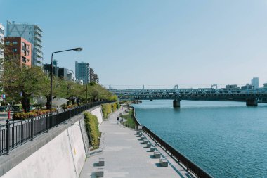 Asakusa Sumida Park kiraz çiçeği Festivali. İlkbaharda, Sumida nehir tarafından kiraz çiçekleri çevrilidir.