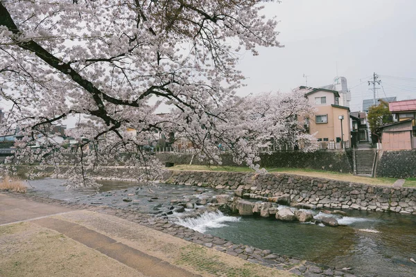 日本高山市宫川早市附近的Kajibashi桥观光 — 图库照片