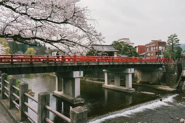 Takayama Japan April 2023 Sakura Kersenbloesem Bomen Aan Weerszijden Van — Stockfoto