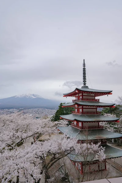 Fuji Chureito Dağı Kiraz Çiçekli Kırmızı Pagoda Sakura Kawaguchiko Japonya — Stok fotoğraf