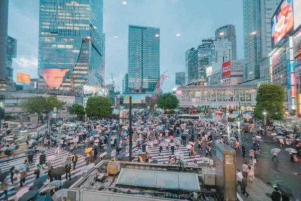 Shibuya Crossing Tokyo Japan — Stockfoto