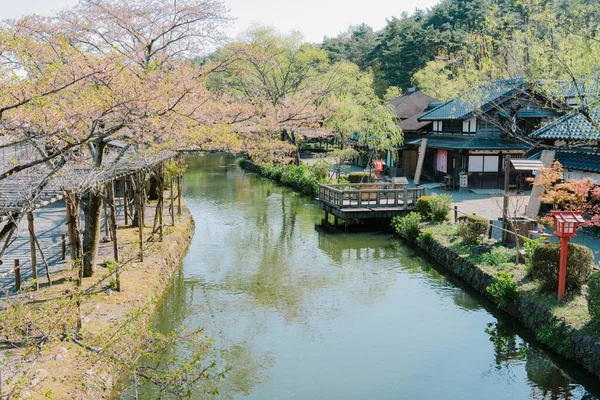 Edo Harikalar Diyarı Ndaki Kanal Sakura Mevsimi Japonya — Stok fotoğraf