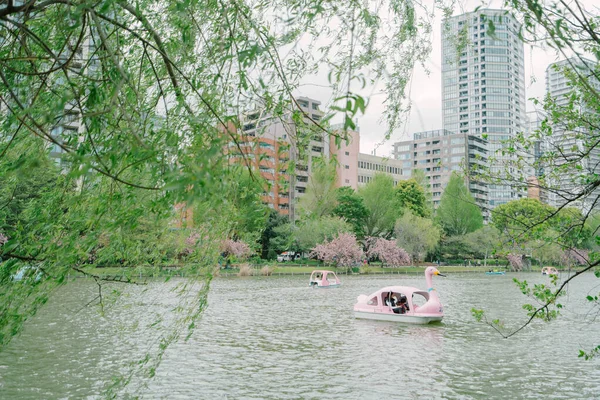 Ueno Japonsko Dubna 2023 Labutí Šlapadla Pronájmu Rybníka Shinobazu Parku — Stock fotografie