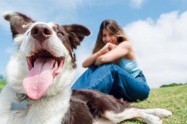 young latin woman, dressed in blue, smiling enjoying the day sitting with her dog that is with its tongue out together in the park, focus on the dog's face. pets concept, copy space.