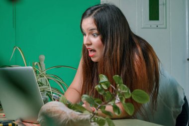 Genç Latin kadın iç mimar, ağzı açık dizüstü bilgisayarı görünce çok şaşırdı, evde çalışıyor..