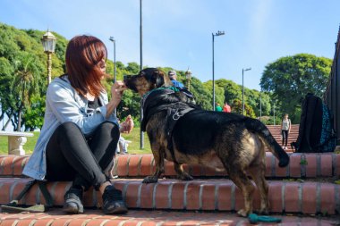 Genç Latin bir kadın parkta köpeğine yemek ikram ediyor, antrenman yapıyor..