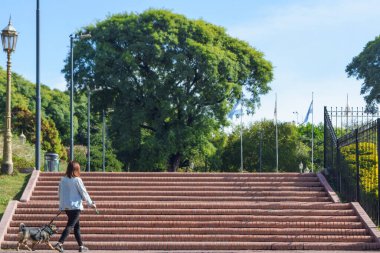 Genç bir kadının evcil hayvanıyla birlikte sabah parktaki merdivenlerden çıkışının dikiz görüntüsü. Boşluğu kopyala.