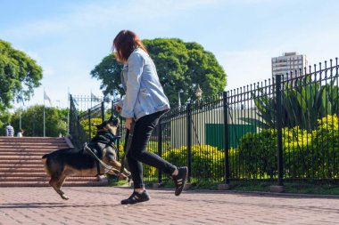 Genç, tanınmayan bir kadın parkta köpeğiyle zıplıyor ve oynuyor. Plastik bir çiğneme oyuncağıyla oynuyorlar. Evcil hayvan konsepti, kopyalama alanı..