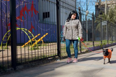 Genç, mutlu Venezuelalı Latin kadın, gün batımında soğuk ceket giyip gülümsüyor. Siyah melez köpeğiyle parka doğru yürüyor.