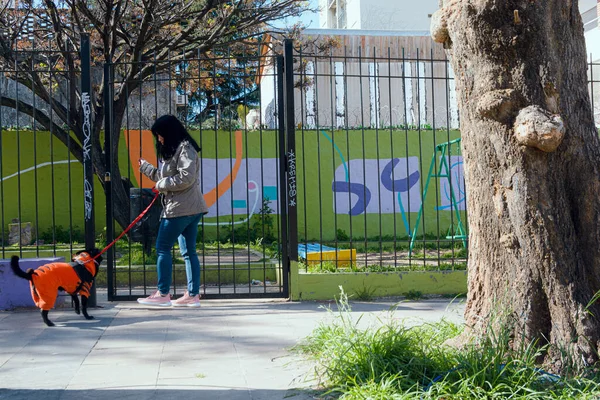 Soğuk algınlığına karşı korumak için ceketli genç bir kadın, evcil hayvanı, siyah melez köpeğiyle parka giriyor..