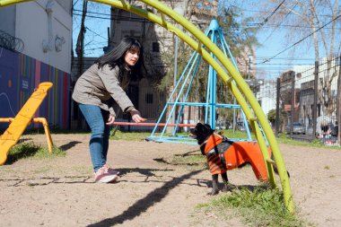 Güneşli kış gününde, gün batımında parkta genç Latin bir kadın köpeğine numaralar, evcil hayvan konsepti, kopyalama alanı öğretiyor..