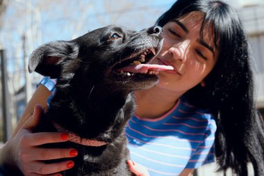 Gün batımında sahibi ile parkta ağzı açık ve dili açık, siyah saçlı melez köpek yakın plan..