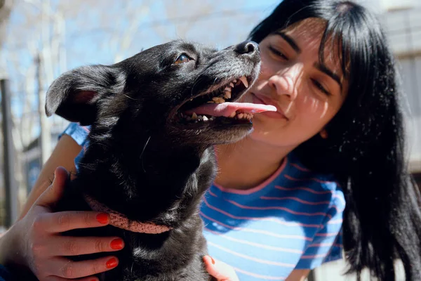 Gün batımında sahibi ile parkta ağzı açık ve dili açık, siyah saçlı melez köpek yakın plan..