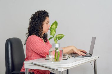 Ofisinde bigudileri olan genç Latin bir kadın oturmuş dizüstü bilgisayar planlama üzerine yazıyor. Daha iyi bir kişisel organizasyon için haftanın günlerini düzenliyor..