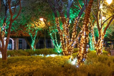 Işıklarla aydınlatılmış ağaçlarla dolu bir park. Işıklar yeşil ve sarı. Manzara şenlikli ve neşeli. Queretaro 'nun tarihi merkezi, sömürge mimarisi, Meksika' nın Bağımsızlık Günü kutlamaları için dekorasyonlar.
