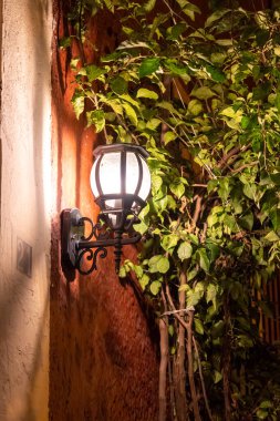 Bir lamba yeşil yapraklı bir duvara karşı parlak bir şekilde parlıyor. Işıklar yanıyor ve lamba yanıyor. Queretaro 'nun tarihi merkezi, sömürge mimarisi, Meksika' nın Bağımsızlık Günü kutlamaları için dekorasyonlar.