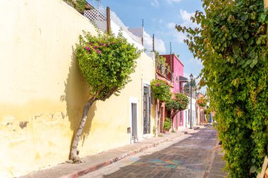 A street with a tree on the side and a row of houses. The houses are pink and yellow. Historic center of Queretaro, colonial architecture, decorations for the celebration of Mexico's Independence Day.