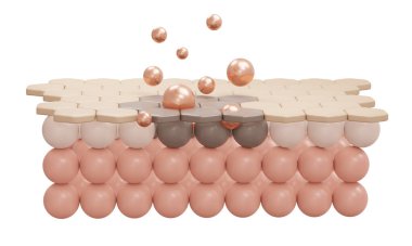 3 boyutlu serum kremi ve vitamin düşüşünü kozmetik reklamlar için koyu leke katmanlı yakın çekim deri hücresine yansıtıyor. 3 Boyutlu Resim Çizimi.