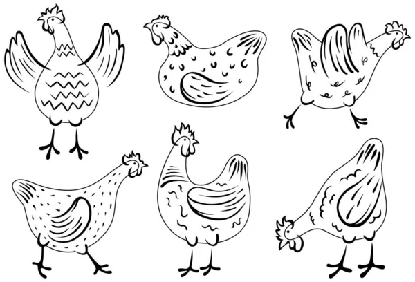 Conjunto Galinhas Desenhadas Mão Frango Ilustração Aves Domésticas — Vetor de Stock