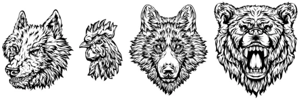 Głowa Koguta Niedźwiedzia Psa Wilka Abstrakcyjna Ilustracja Postaci Logo Graficzne — Wektor stockowy