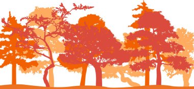   Vector silhouette of trees. Isolated eps 10.