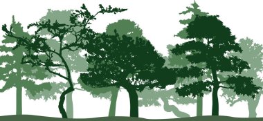   Vector silhouette of trees. Isolated eps 10.