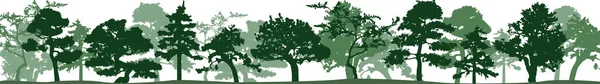 Vector Silhouette Trees Isolated Eps — Stok Vektör