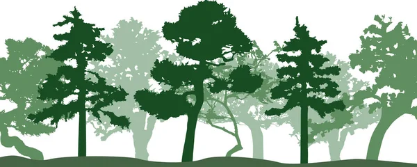 Vector Silhouette Trees Isolated Eps — Stockvector