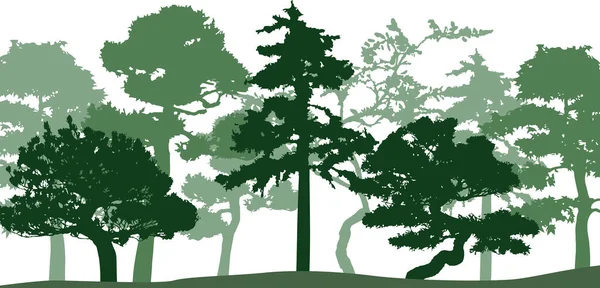 Vector Silhouette Trees Isolated Eps —  Vetores de Stock
