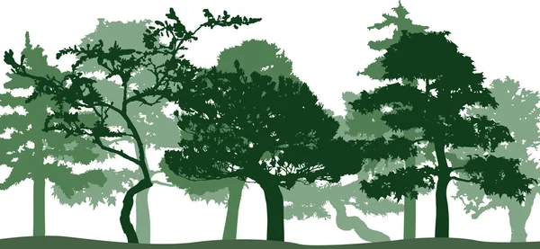 Vector Silhouette Trees Isolated Eps — Stockvektor