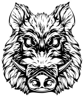 Domuz kafalı maskot. Kızgın domuz logosu. Domuz çizimi.