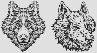 Köpek başı, kurt. Soyut karakter çizimi. Amblem için grafik logo şablonu dizayn eder. Portre resmi.