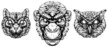Kedi başı, maymun, baykuş. Soyut karakter çizimleri. Amblem için grafik logo tasarımı şablonu, maskot. Portre resmi.