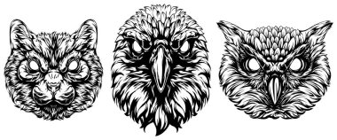 Baykuşun, karganın, kedinin siyah beyaz yüzü. Çizim maskotu sanatı.