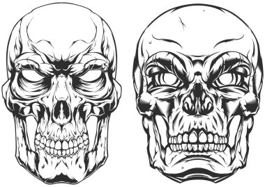 Elle çizilmiş insan kafatası beyaza izole edilmiş. Işık arkaplanına dövme çizimi.
